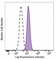 PE anti-STAT3