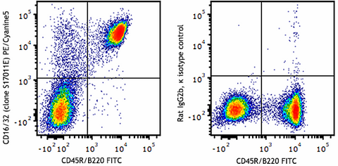 PE/Cyanine5 anti-mouse CD16/32