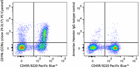 PE/Cyanine5 anti-mouse CD196 (CCR6)