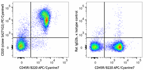 PE/Cyanine5 anti-mouse CD20