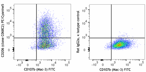 PE/Cyanine5 anti-mouse CD206 (MMR)