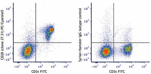 PE/Cyanine5 anti-mouse CD28