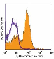 PE/Cyanine5 anti-mouse CD40