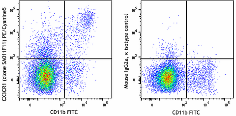 PE/Cyanine5 anti-mouse CX3CR1