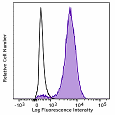 PE/Cyanine7 anti-GFP