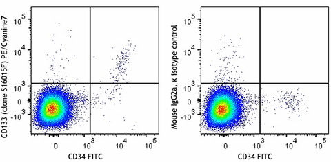 PE/Cyanine7 anti-human CD133