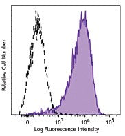 PE/Cyanine7 anti-human CD138 (Syndecan-1)