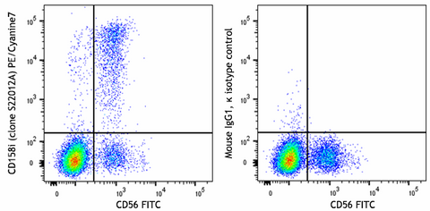 PE/Cyanine7 anti-human CD158i (KIR2DS4)