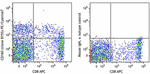 PE/Cyanine7 anti-human CD160