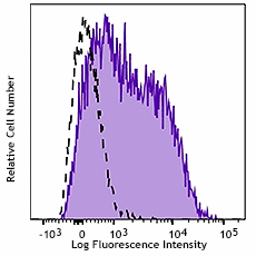 PE/Cyanine7 anti-human CD166