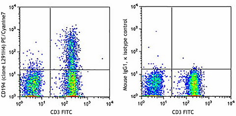 PE/Cyanine7 anti-human CD194 (CCR4)