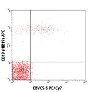 PE/Cyanine7 anti-human CD23