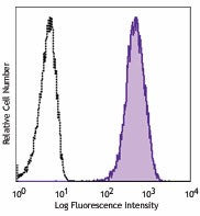 PE/Cyanine7 anti-human CD271 (NGFR)