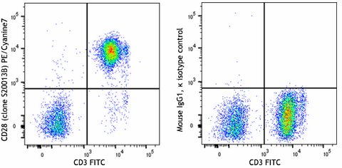 PE/Cyanine7 anti-human CD28