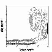 PE/Cyanine7 anti-human CD31