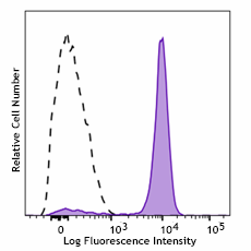 PE/Cyanine7 anti-human CD33