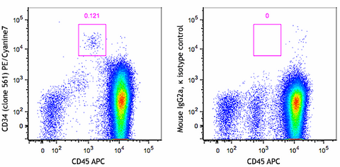 PE/Cyanine7 anti-human CD34