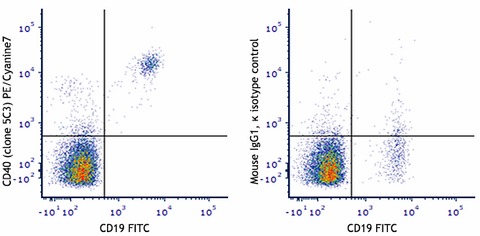 PE/Cyanine7 anti-human CD40