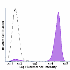 PE/Cyanine7 anti-human CD48