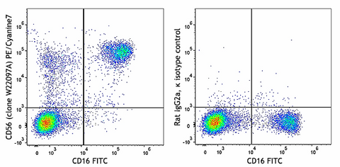 PE/Cyanine7 anti-human CD56 (NCAM)