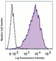 PE/Cyanine7 anti-human CD66a/c/e