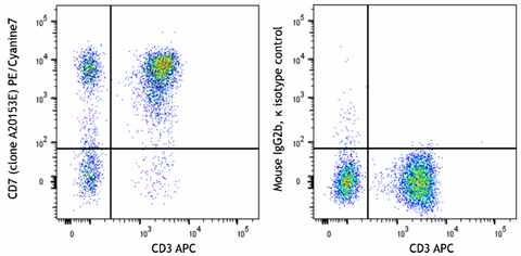 PE/Cyanine7 anti-human CD7