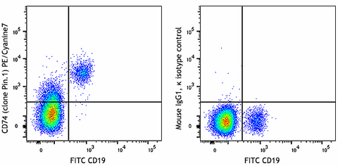 PE/Cyanine7 anti-human CD74 (Cytoplasmic)