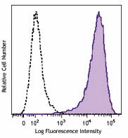 PE/Cyanine7 anti-human CD90 (Thy1)