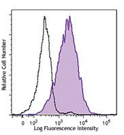 PE/Cyanine7 anti-human HLA-G