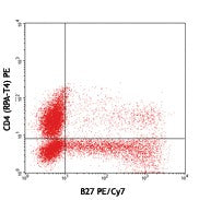 PE/Cyanine7 anti-human IFN-γ