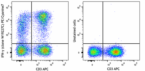 PE/Cyanine7 anti-human IFN-γ