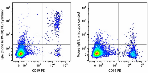 PE/Cyanine7 anti-human IgM