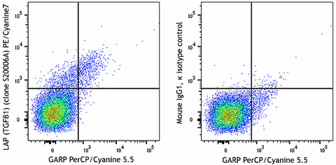 PE/Cyanine7 anti-human LAP (TGF-β1)