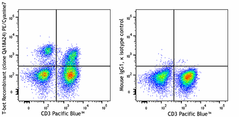 PE/Cyanine7 anti-human T-bet Recombinant