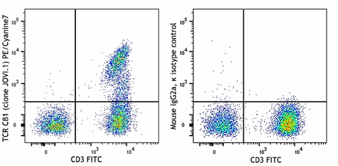 PE/Cyanine7 anti-human TCR Cβ1