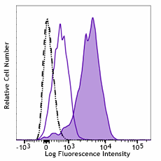 PE/Cyanine7 anti-IRF4