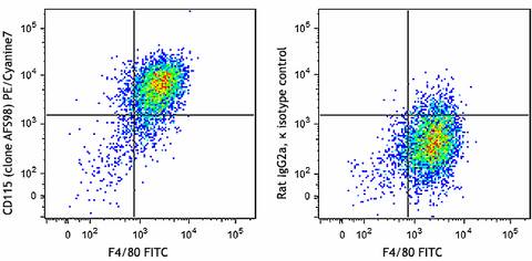 PE/Cyanine7 anti-mouse CD115 (CSF-1R)