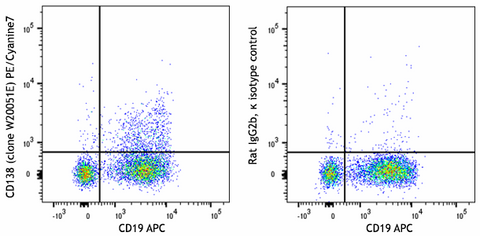 PE/Cyanine7 anti-mouse CD138 (Syndecan-1)