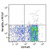 PE/Cyanine7 anti-mouse CD138 (Syndecan-1)