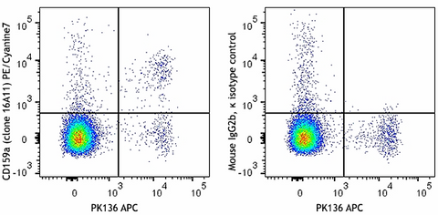 PE/Cyanine7 anti-mouse CD159a (NKG2AB6)