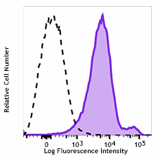 PE/Cyanine7 anti-mouse CD1d (CD1.1, Ly-38)