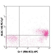 PE/Cyanine7 anti-mouse CD205 (DEC-205)