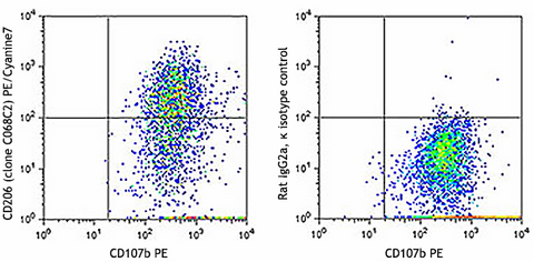 PE/Cyanine7 anti-mouse CD206 (MMR)