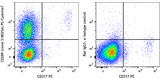 PE/Cyanine7 anti-mouse CD289 (TLR9)