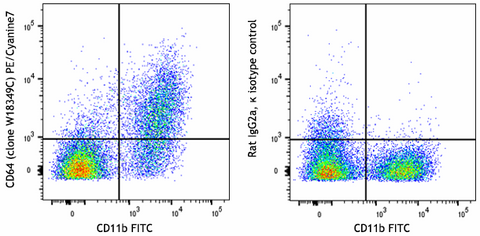 PE/Cyanine7 anti-mouse CD64 (FcγRI)