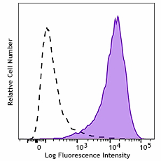 PE/Cyanine7 anti-mouse CD86