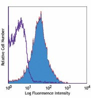 PE/Cyanine7 anti-mouse CD86