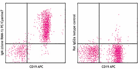 PE/Cyanine7 anti-mouse IgM
