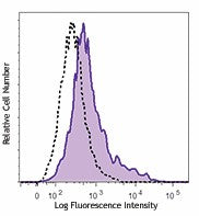 PE/Cyanine7 anti-mouse IL-12/IL-23 p40