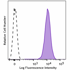 PE/Cyanine7 anti-mouse Integrin αVβ6